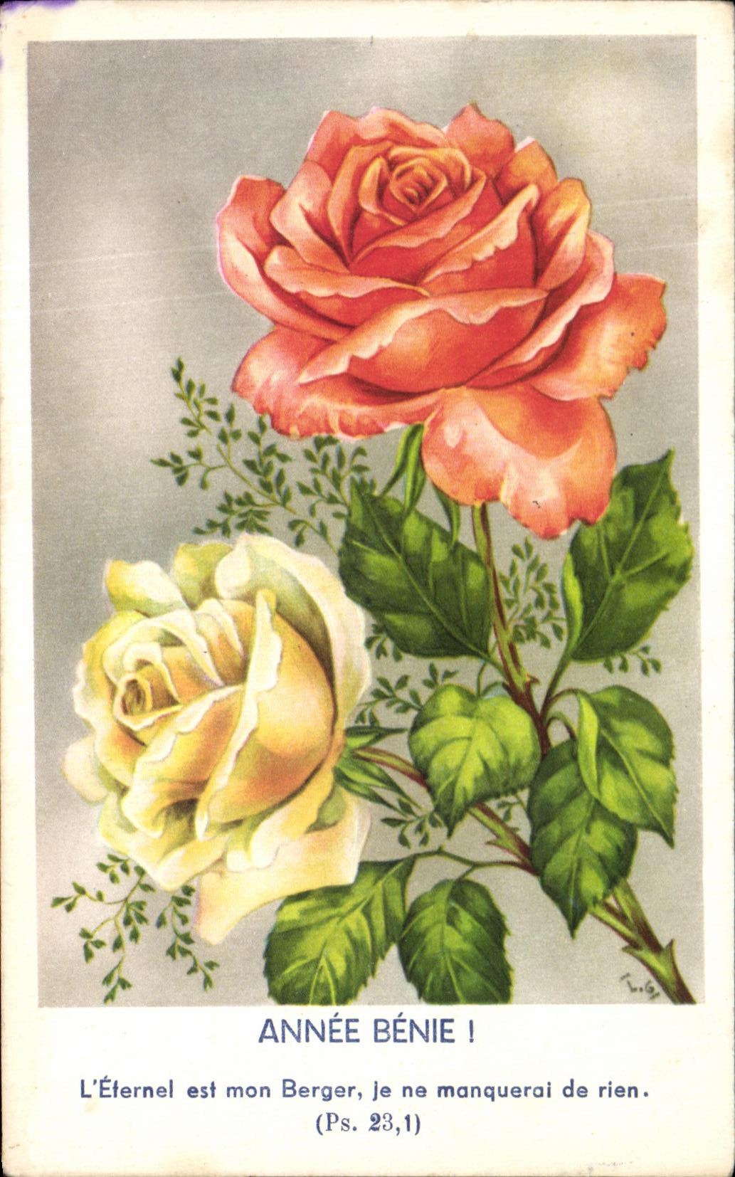 La fantasia de CPA florece rosas