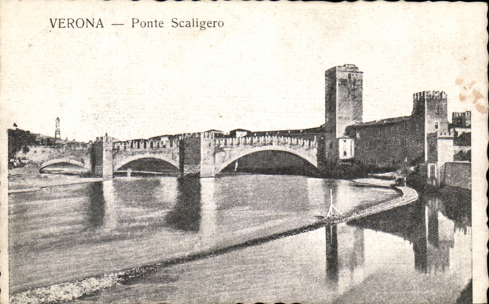 Pez gordo Scaligero de CPA Verona