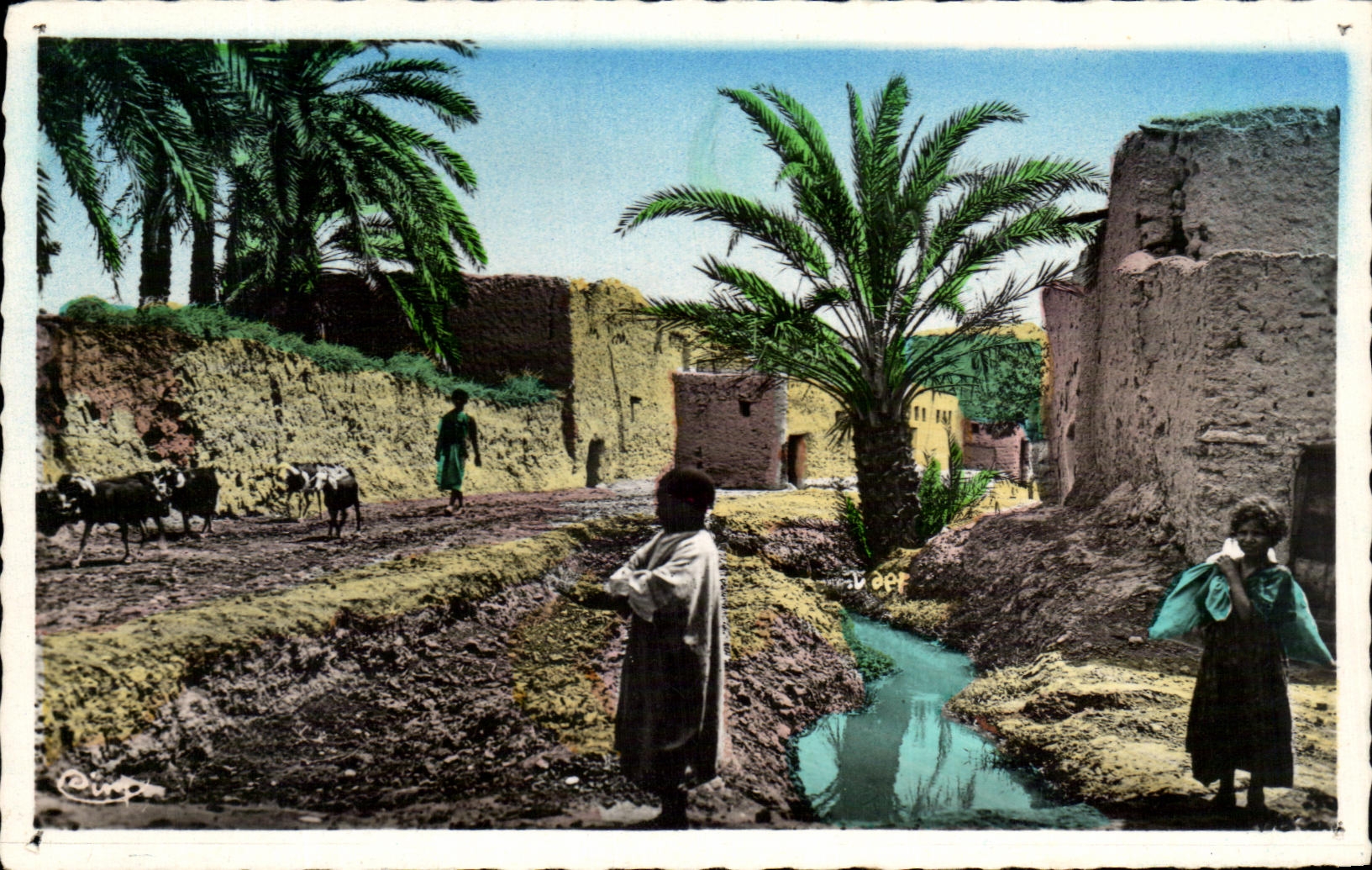 CPA With the Old man Biskra Algeria