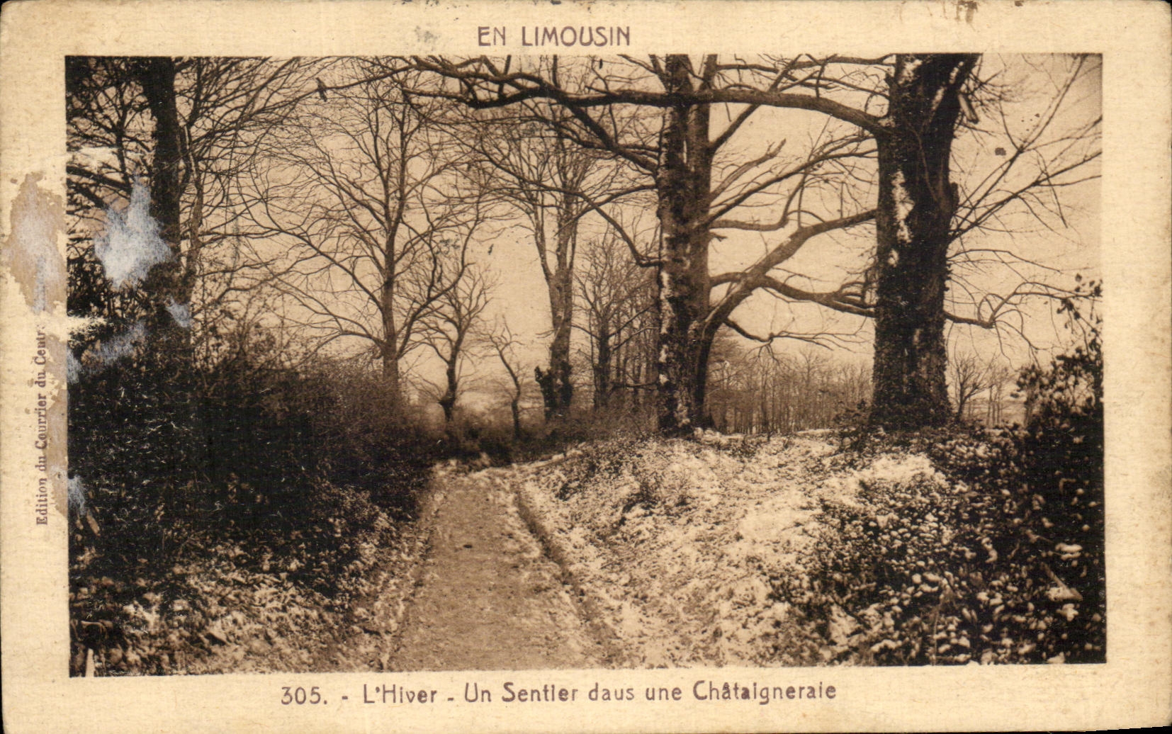 CPA In the Limousin the Winter Sentler in a Chestnut grove
