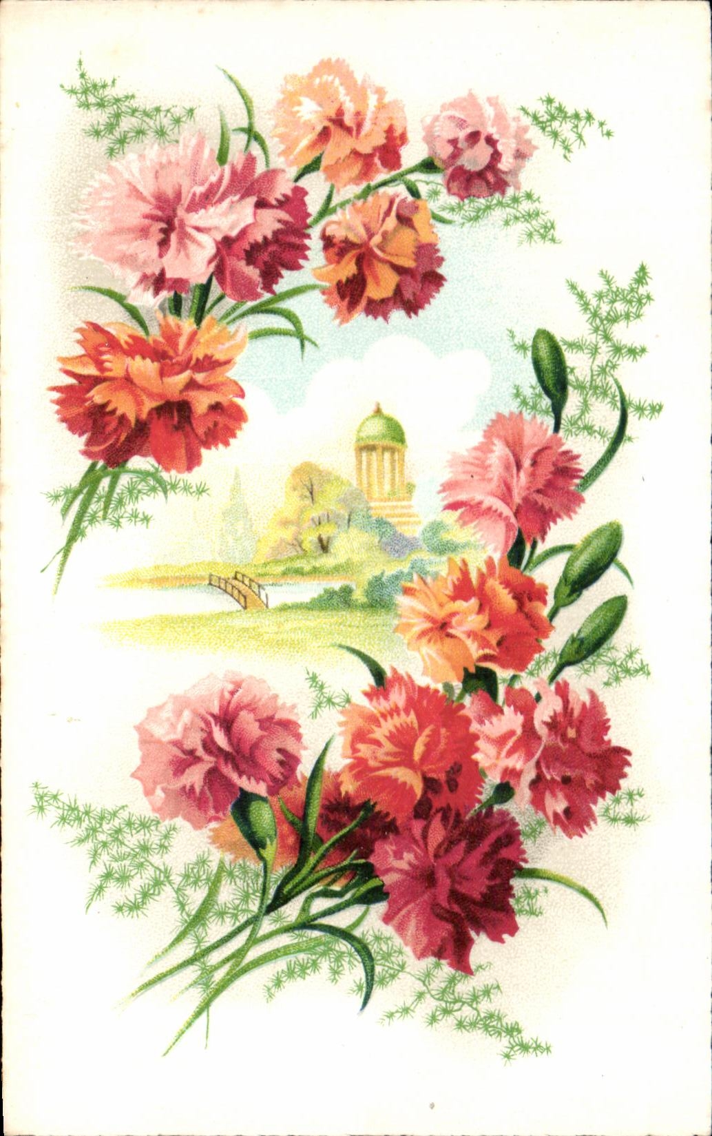 Flores de la fantasia de CPA