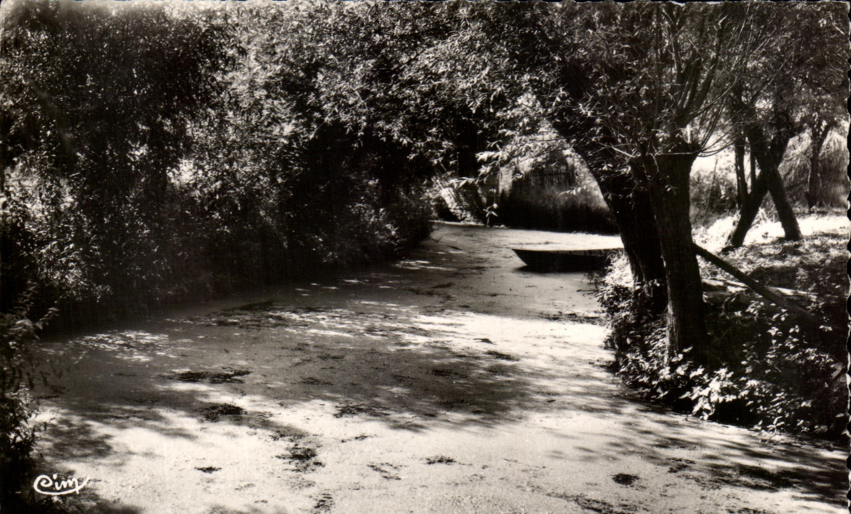 CPA Maillezais Venice Green