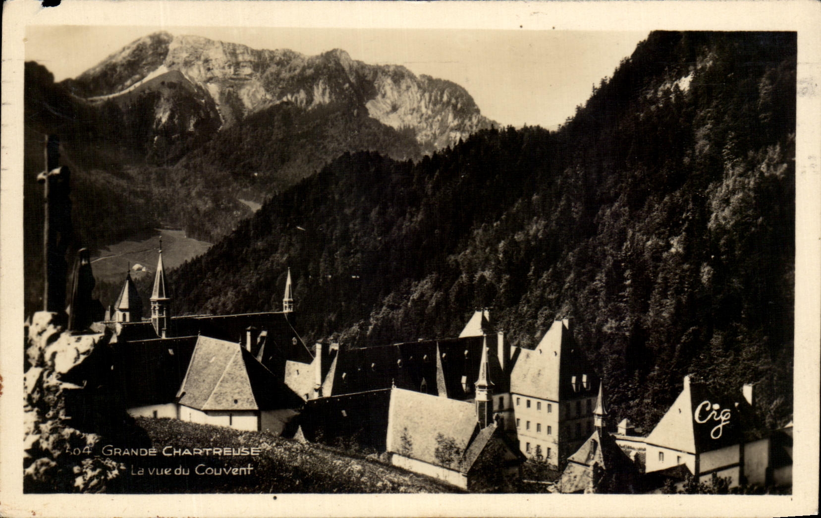 Cria chartreuse de CPA