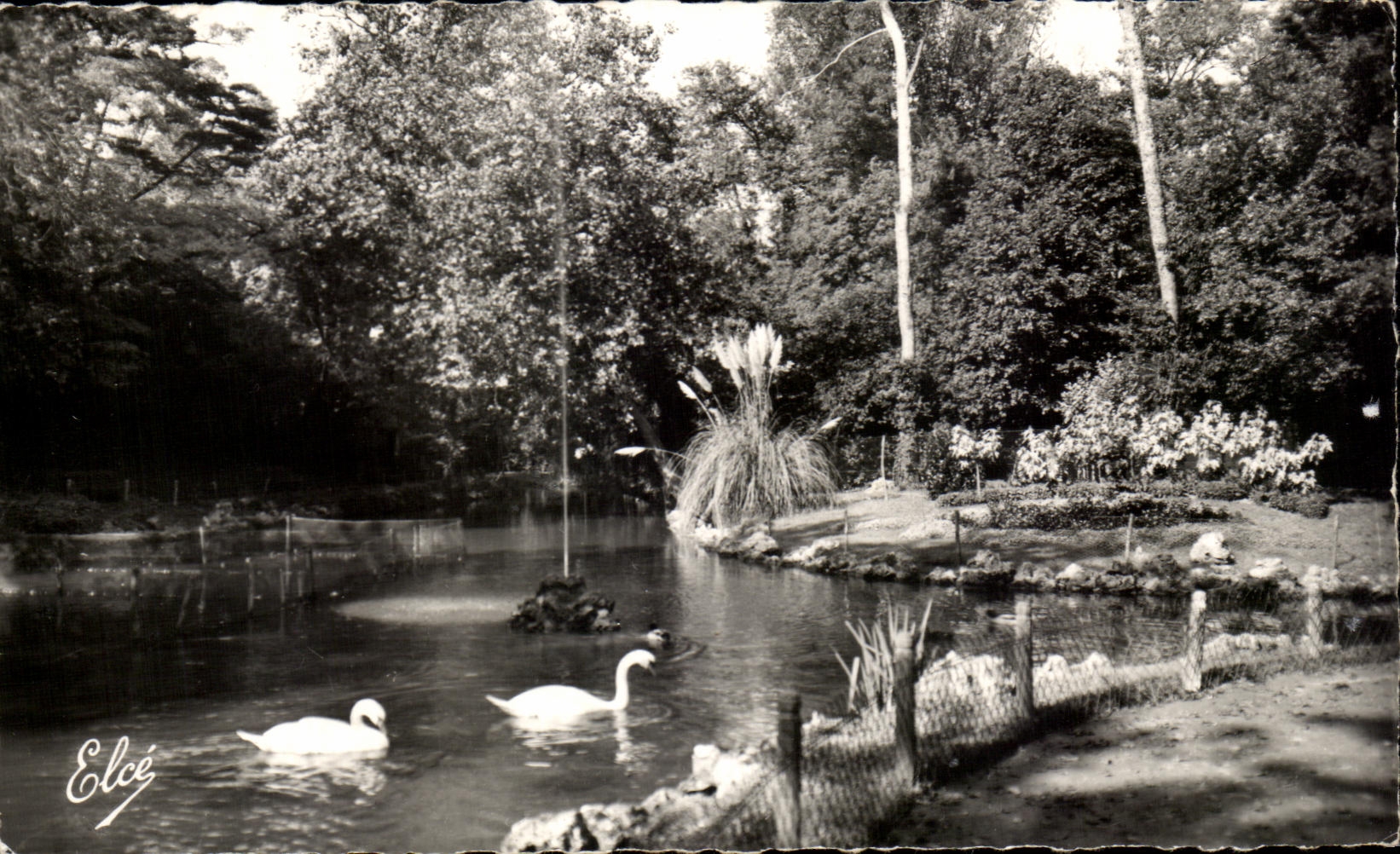 CPA La Rochelle el rio en el cisne de los parques