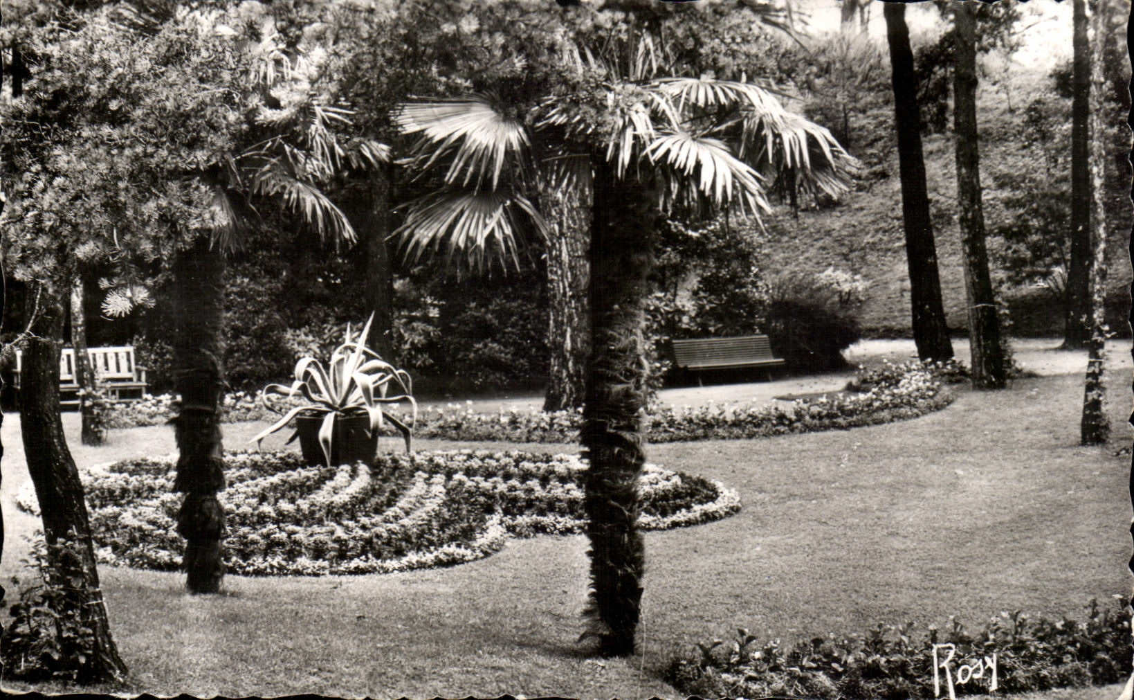 CPA La Baule Pines the Park of Dryades