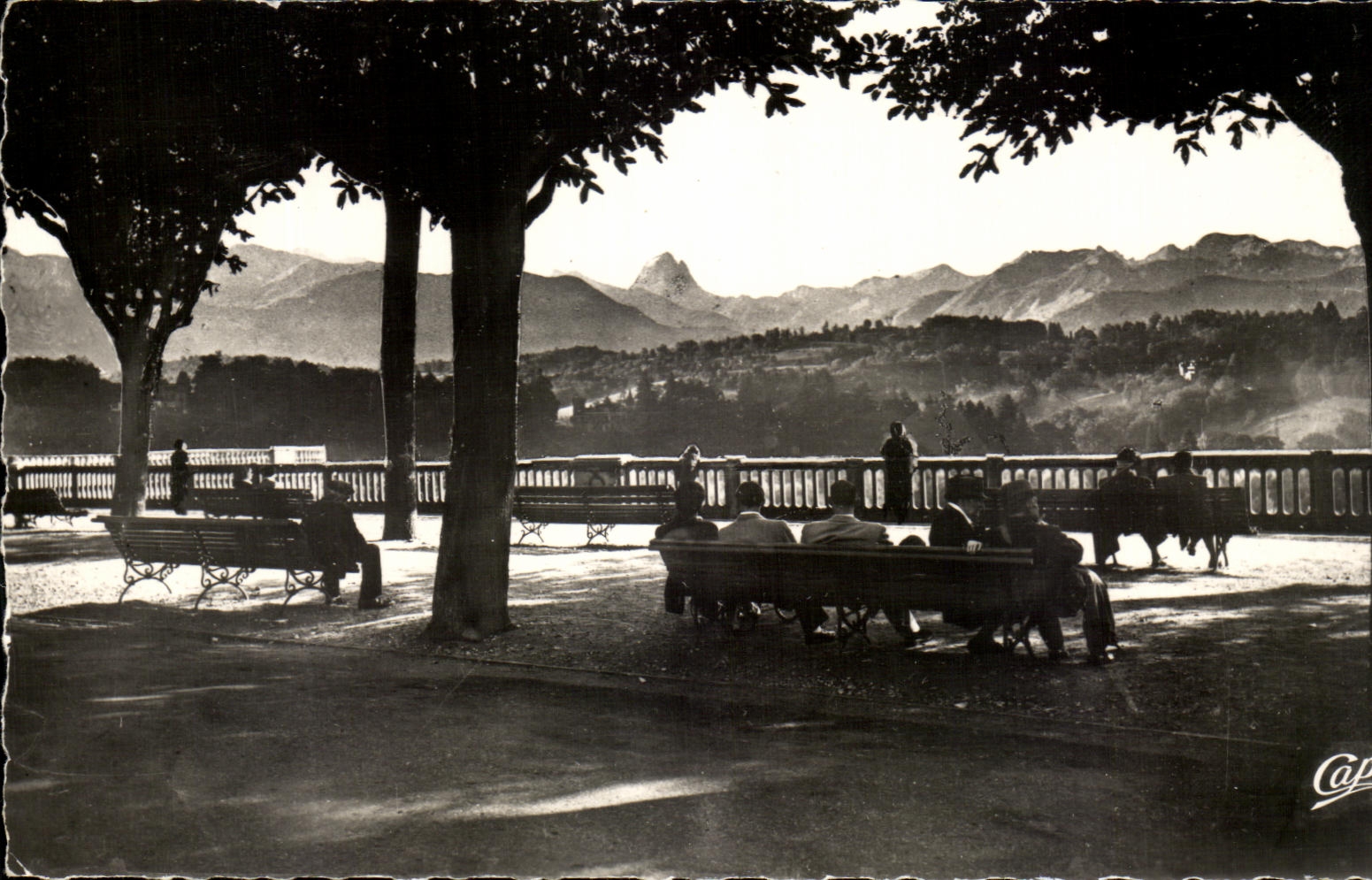 CPSM Pau Boulevard Of the Pyrenees