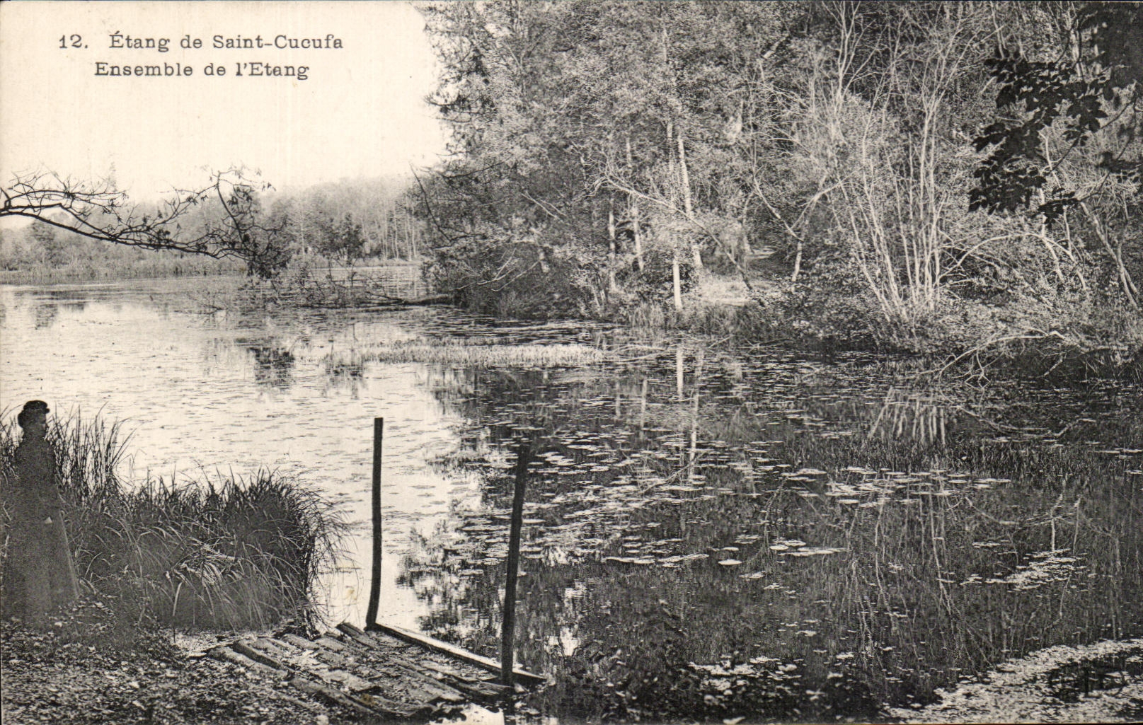 CPA Etang de Saint Cucufa Ensemble de L'Etang