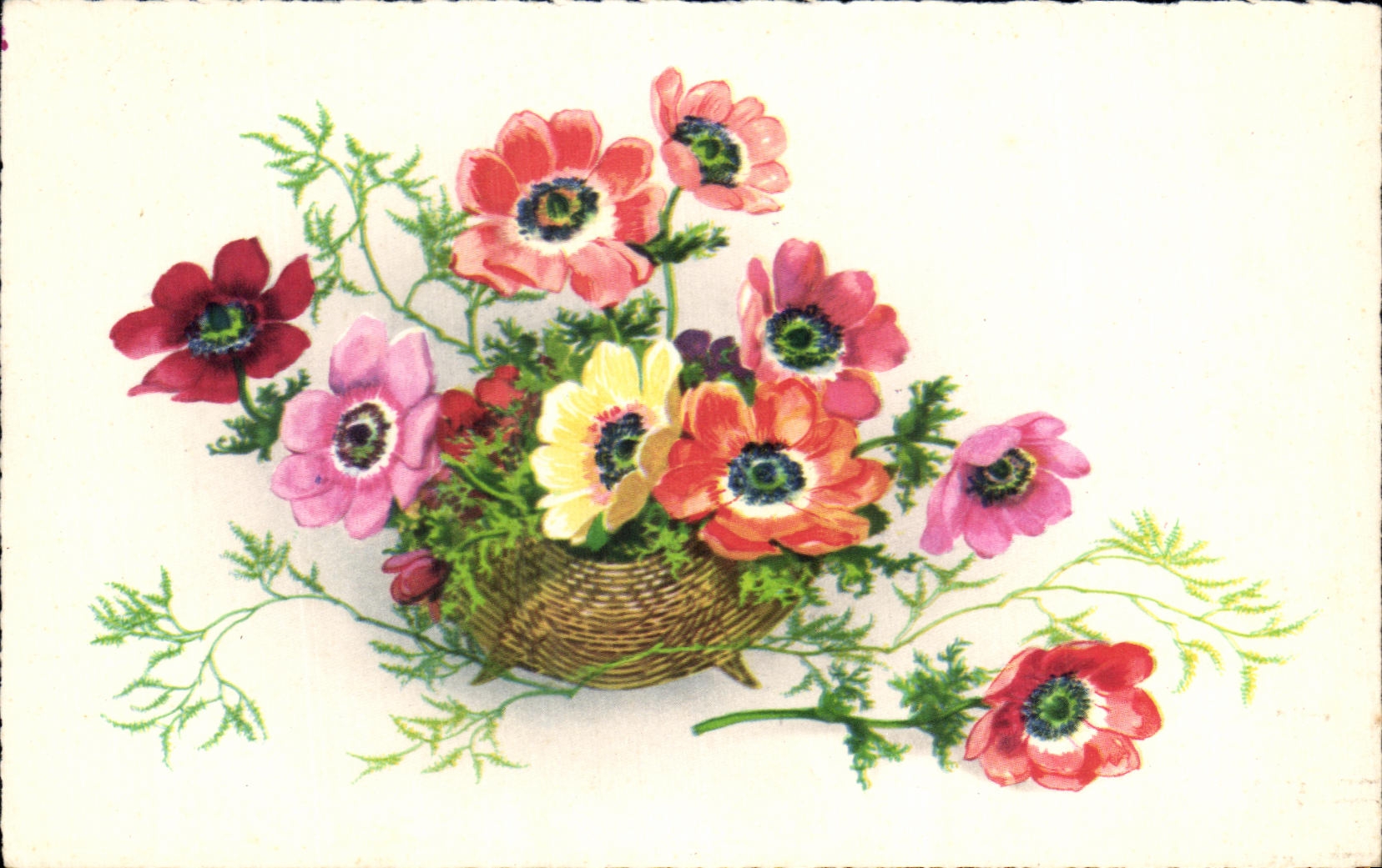 Flores de la fantasia de CPA