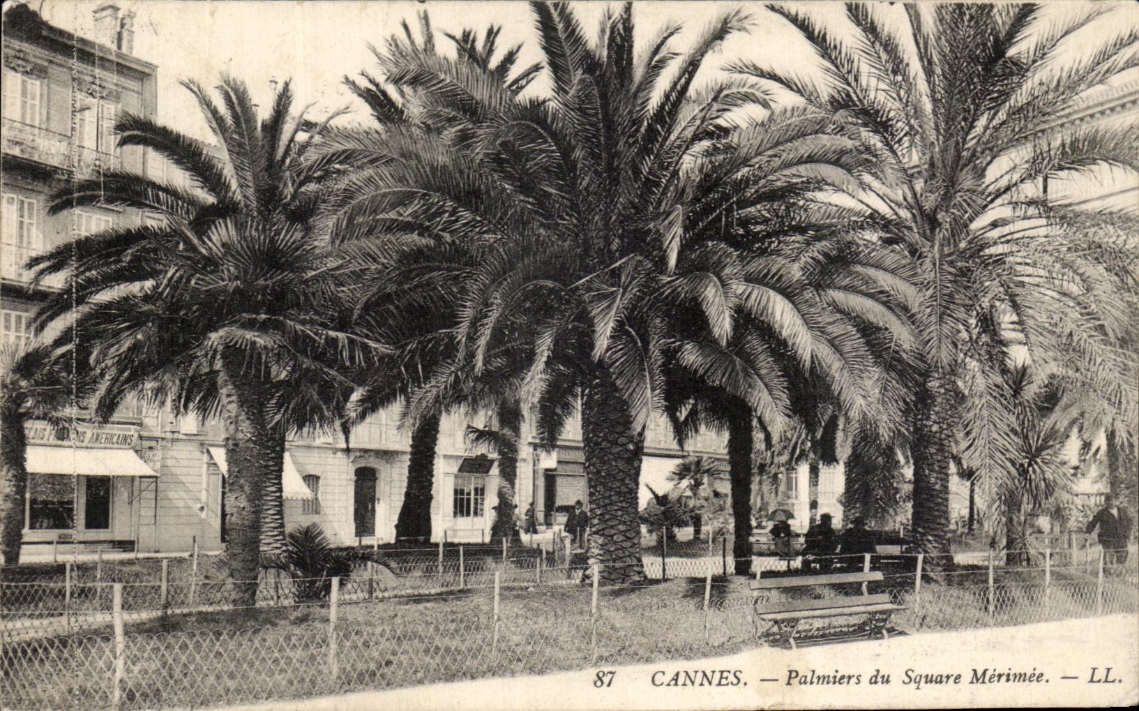 CPA Cannes Palm trees of the Merimee Public garden