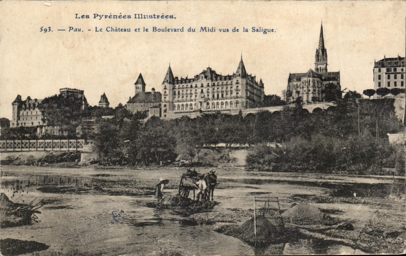 CPA Pau the Castle and the Boulevard of the South Seen of Saligue