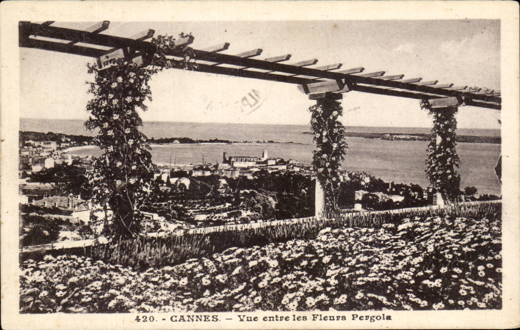 CPA Cannes Seen between the Flowers Pergola