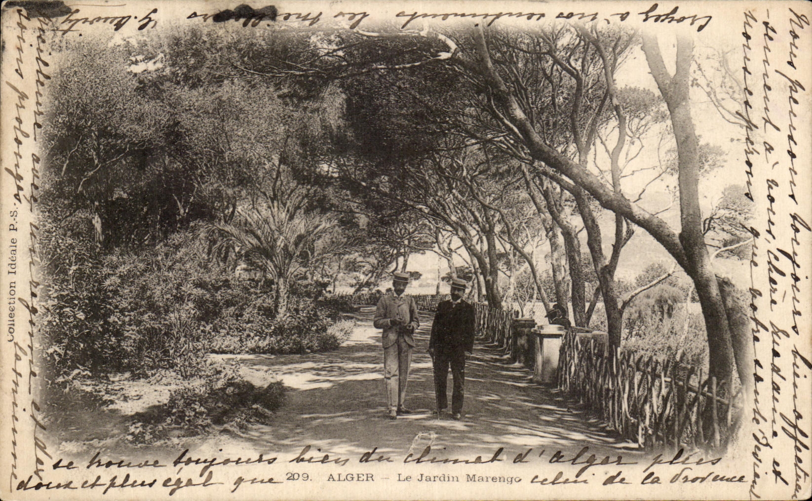 CPA Argel el jardin Marengo Argelia