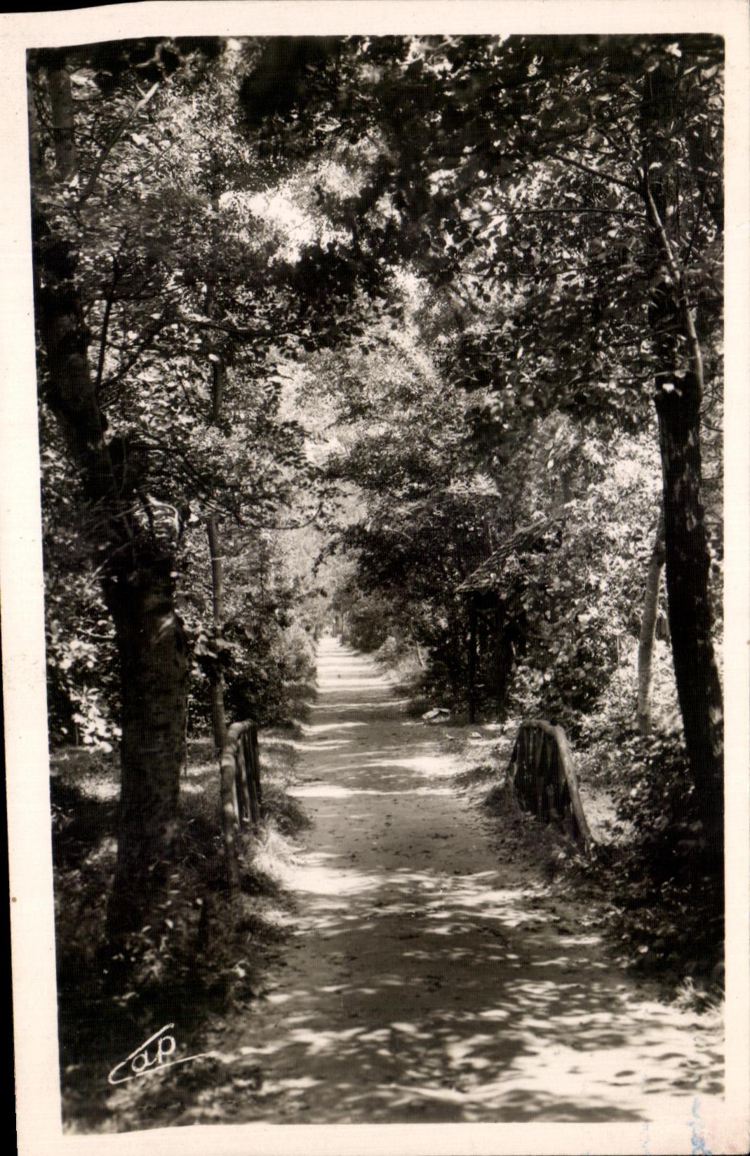 Playa de CPA Touquet Paris debajo de la madera