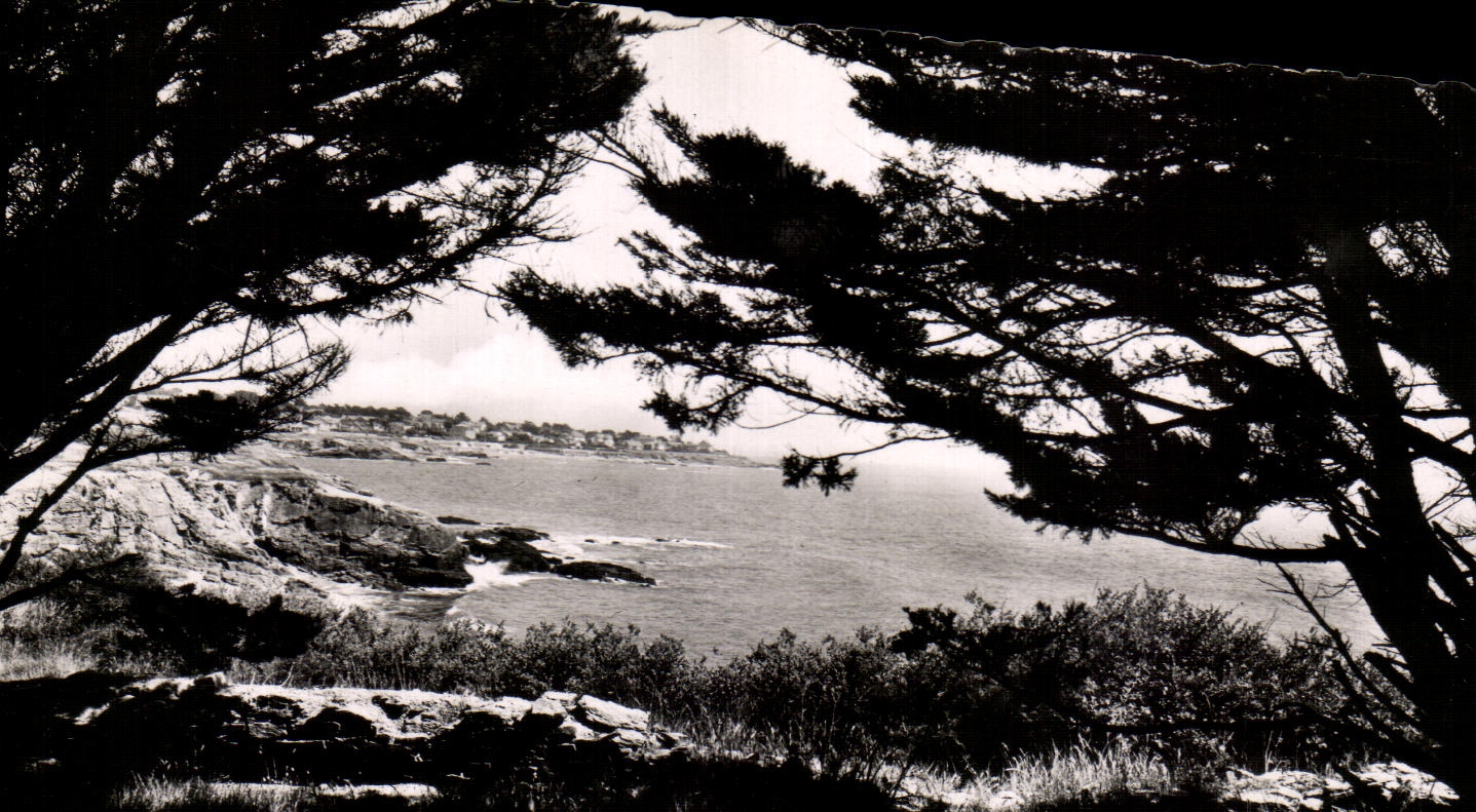 CPA Prefailles la dimension a traves de los arboles