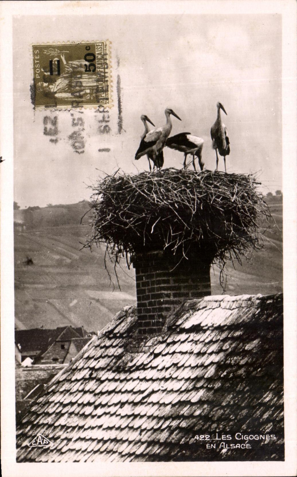 CPA Storks In Alsace