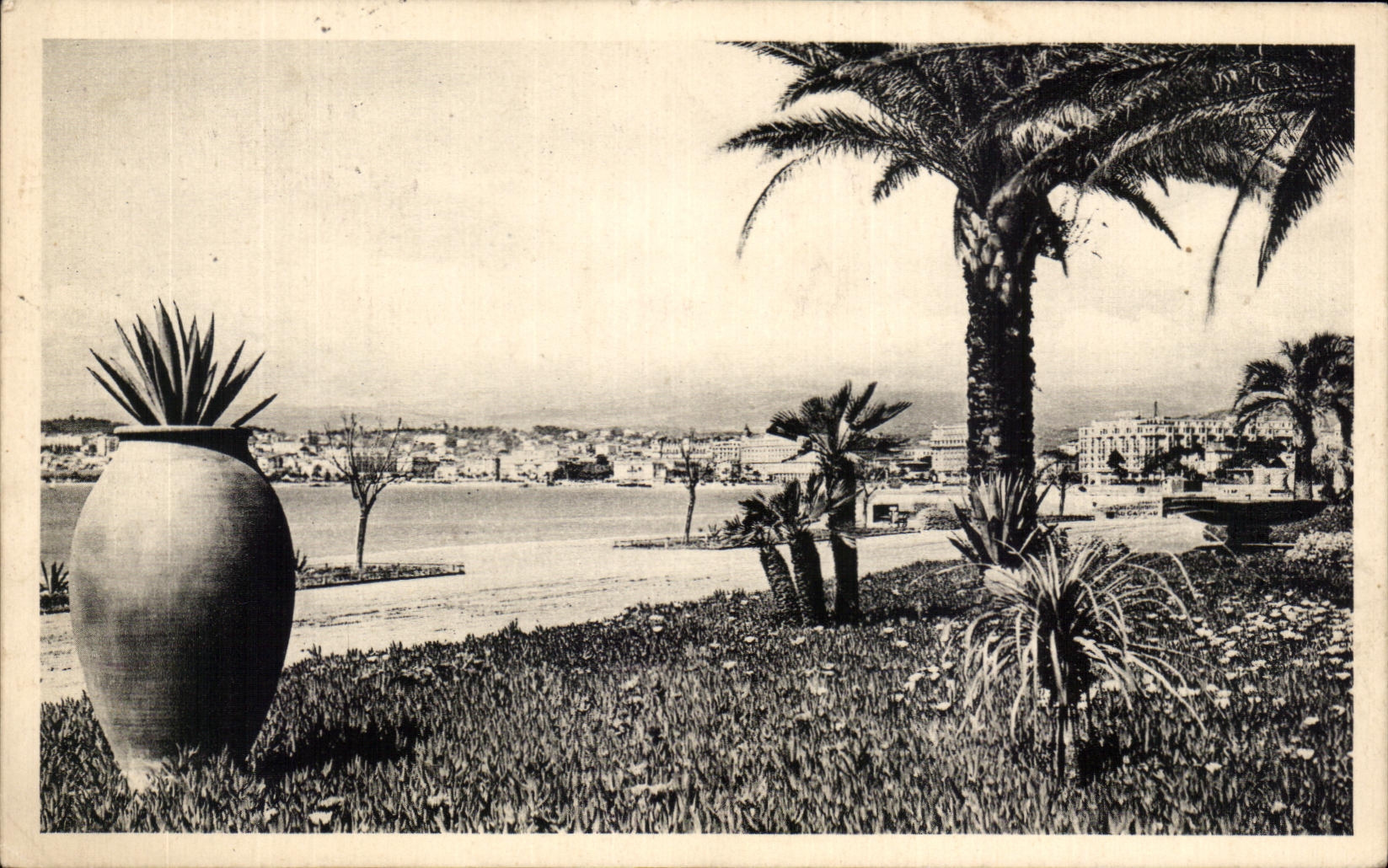 CPA Cannes Seen from Of the New Gardens