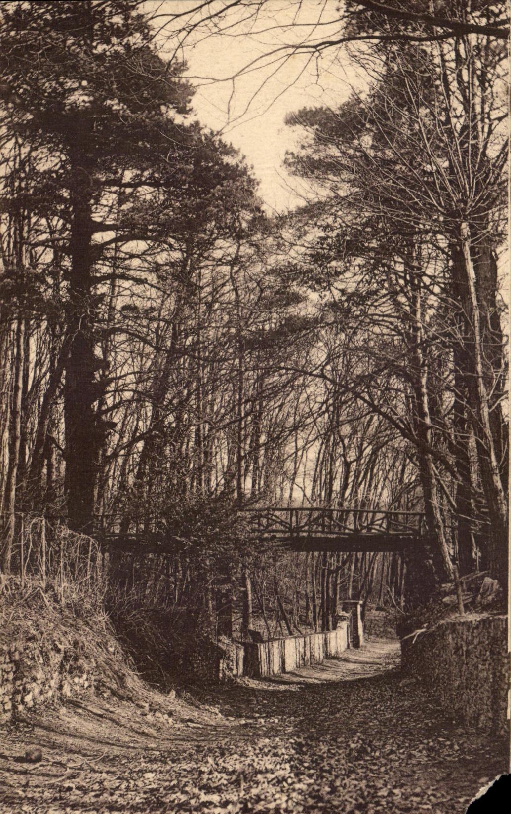 CPA St Price Under Wood