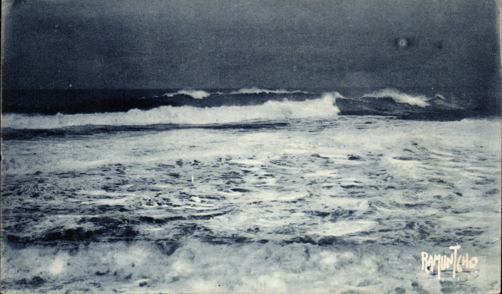 CPA the Wild Dimension