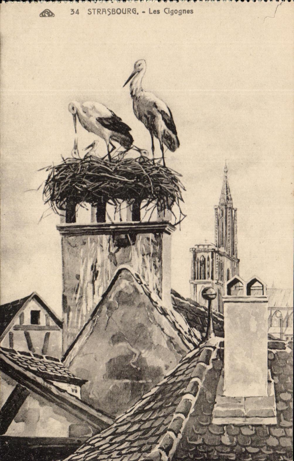 CPA Strasbourg Storks