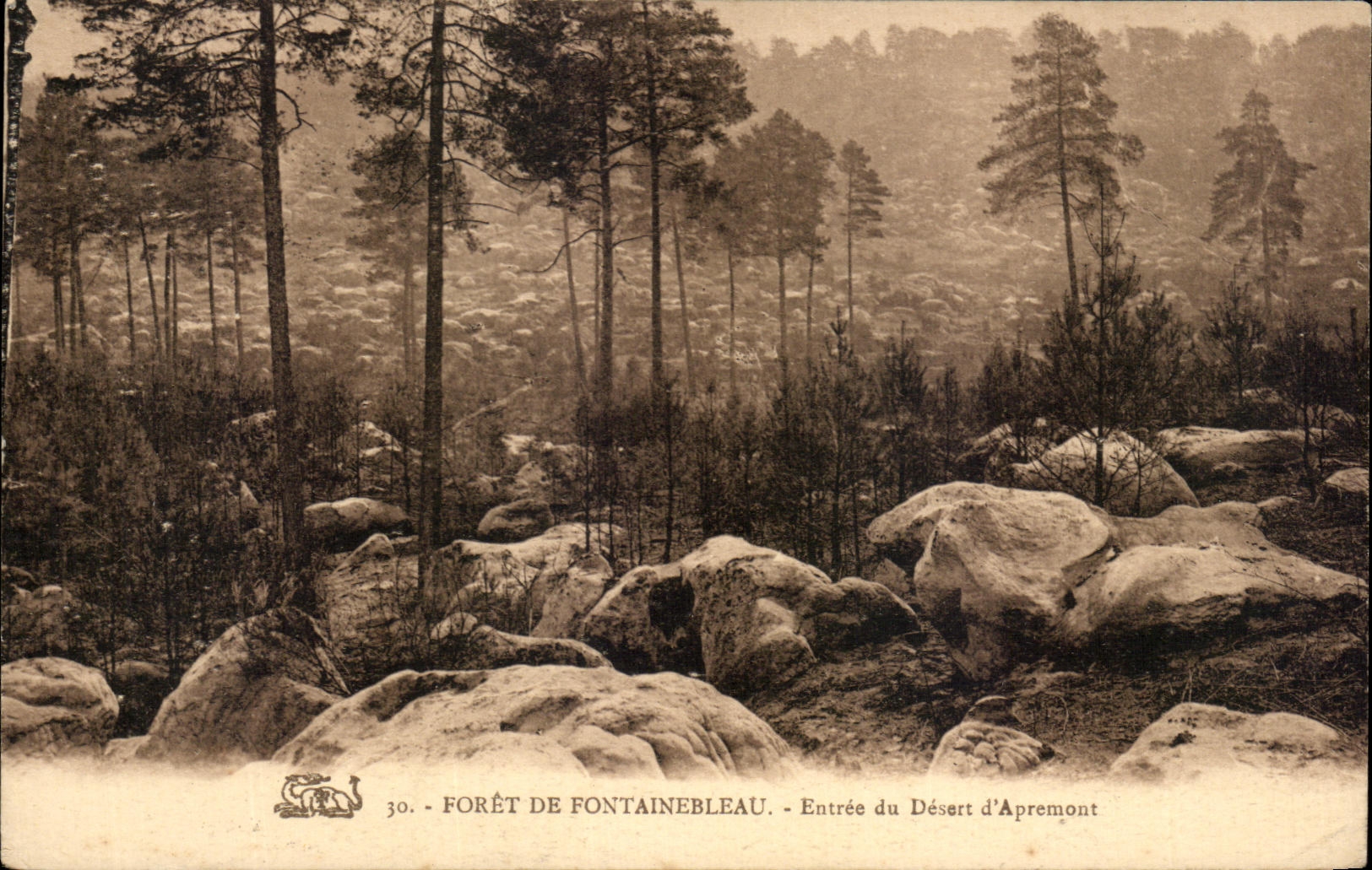 CPA Foret De Fontainebleau Entree Of Serves of Apremont