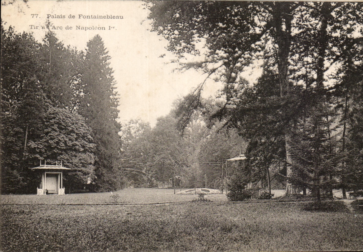 CPA Palate De Fontainebleau Shooting with the Arc Of Napoleon 1st