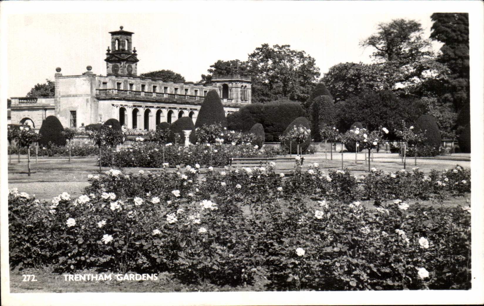 CPM Trentham gardens