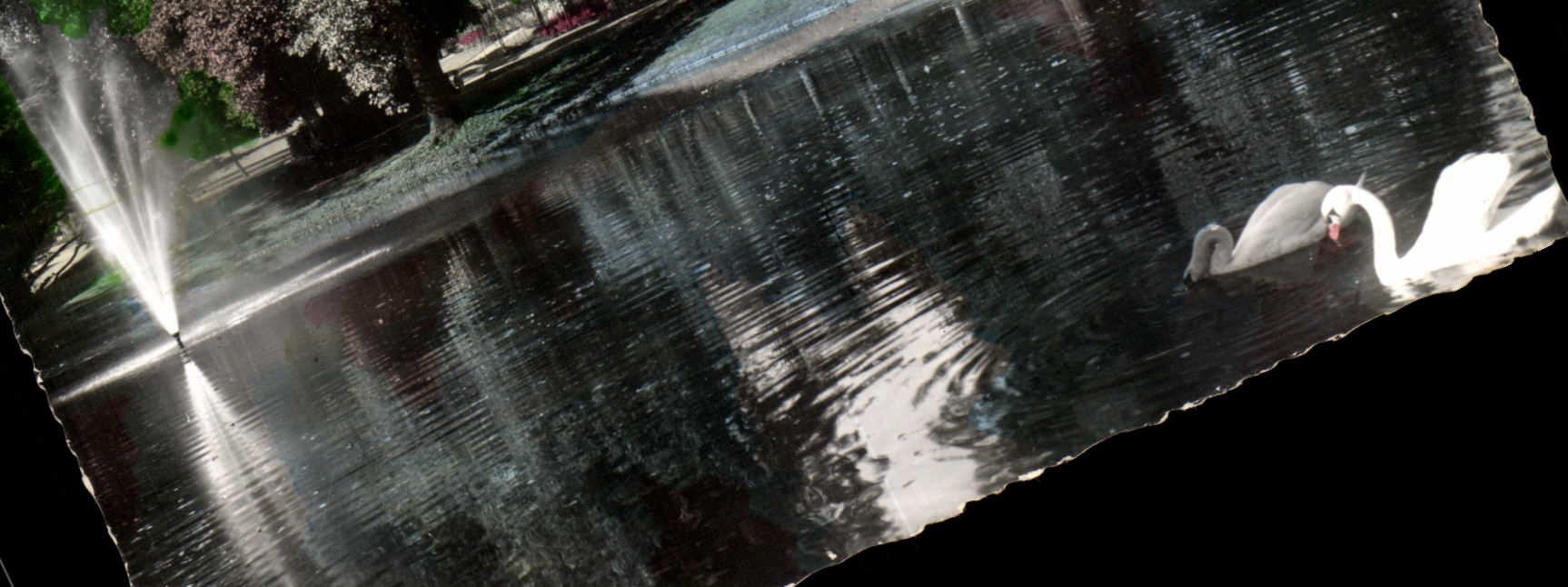 CPA Nantes With the Botanical garden the water Swan lake and Jet