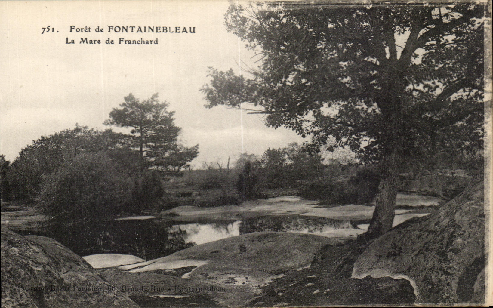 CPA Drill of Fontainebleau the Pond of Franchard