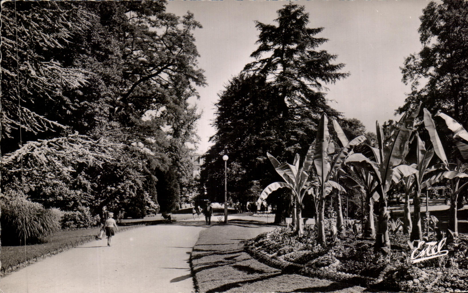 CPA Nancy Le Parc de la Pepiniere