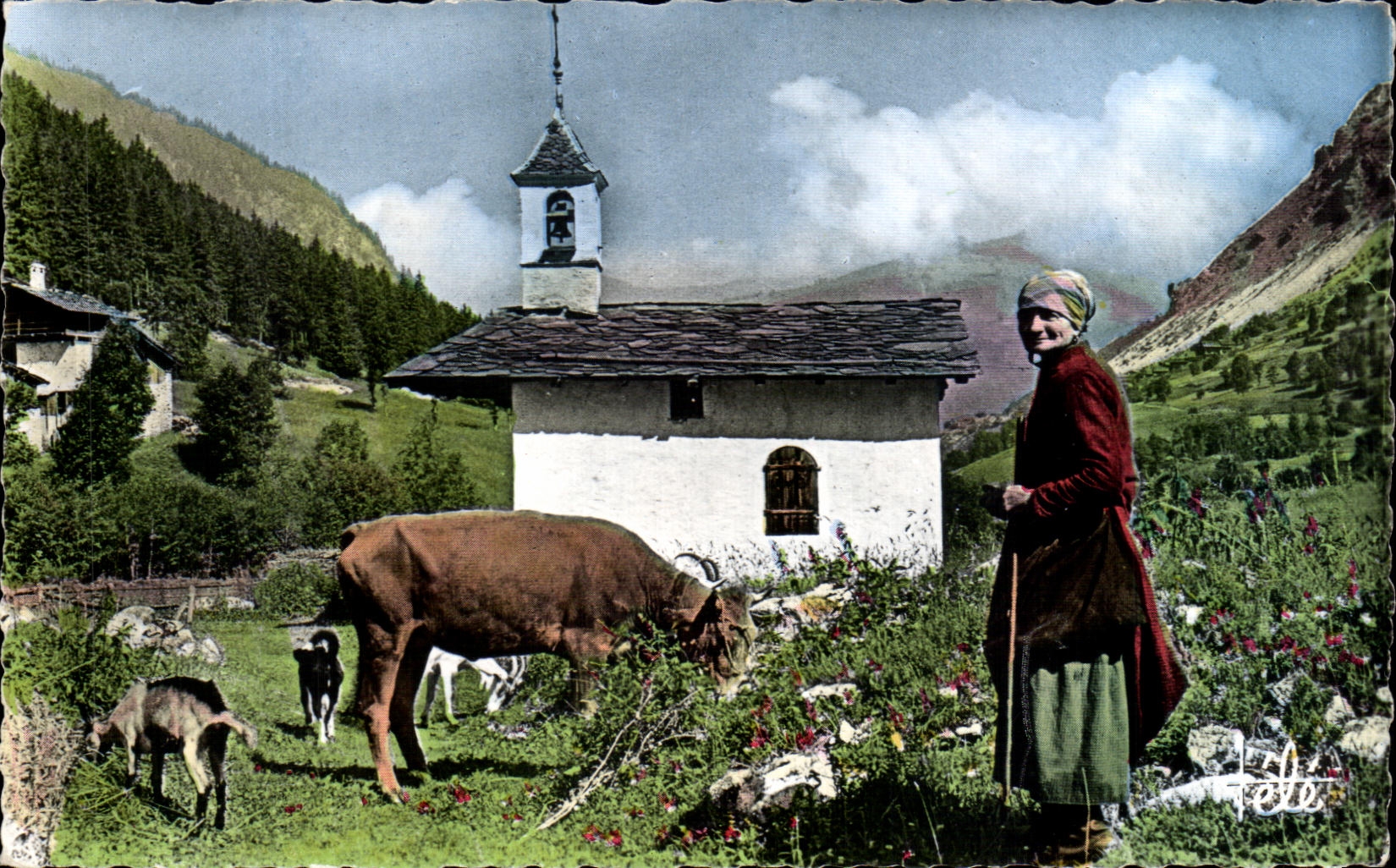 CPSM Savoy Pitteresque Vault Pasture one Notre Dame high-altitude of Snows Goat