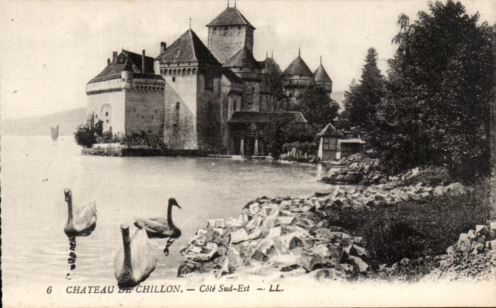 CPA Chateau de Chillon Cote sud Est Cygnes