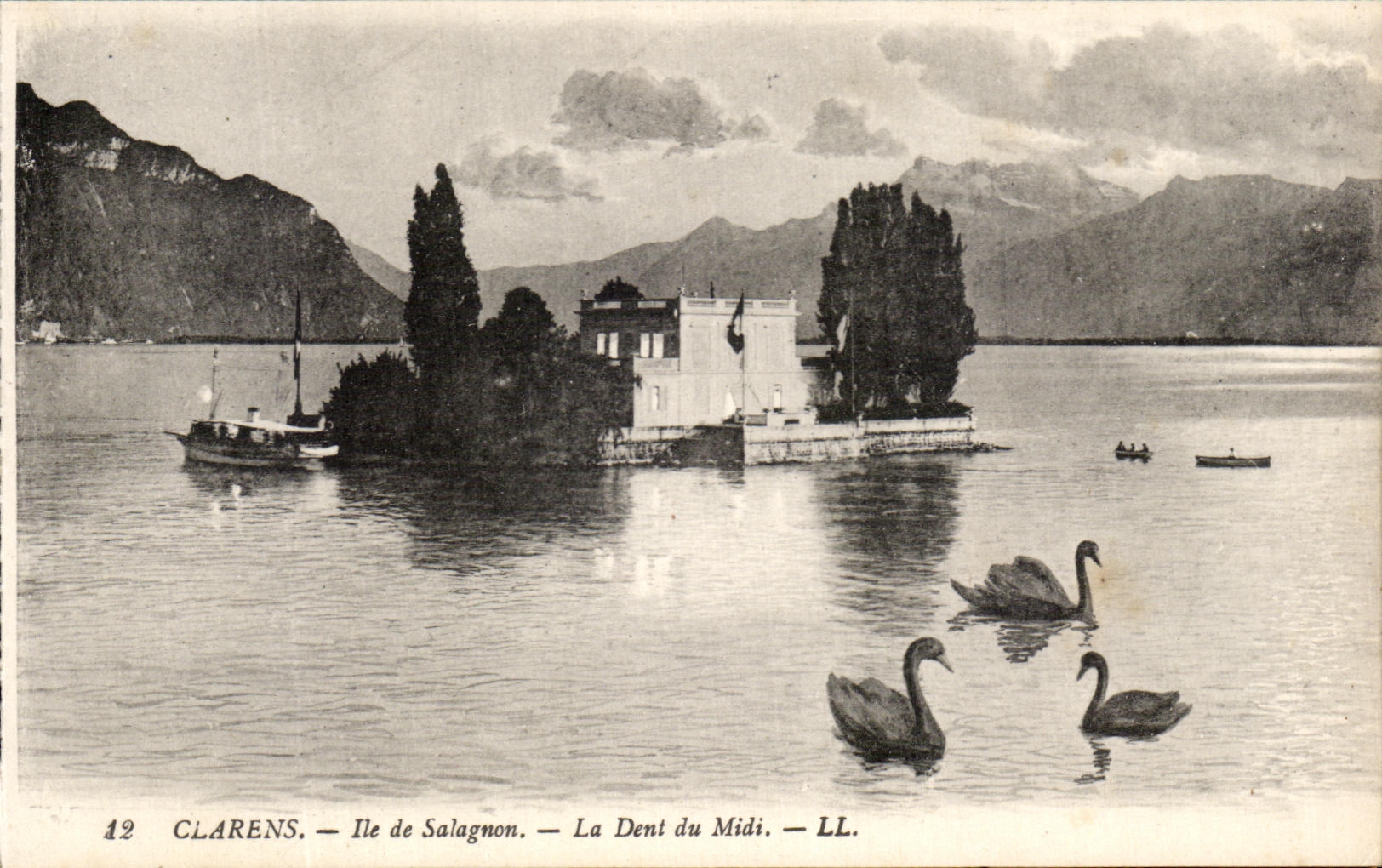 CPA Clarens Ile de Salagnon La Dent du Midi Cygnes