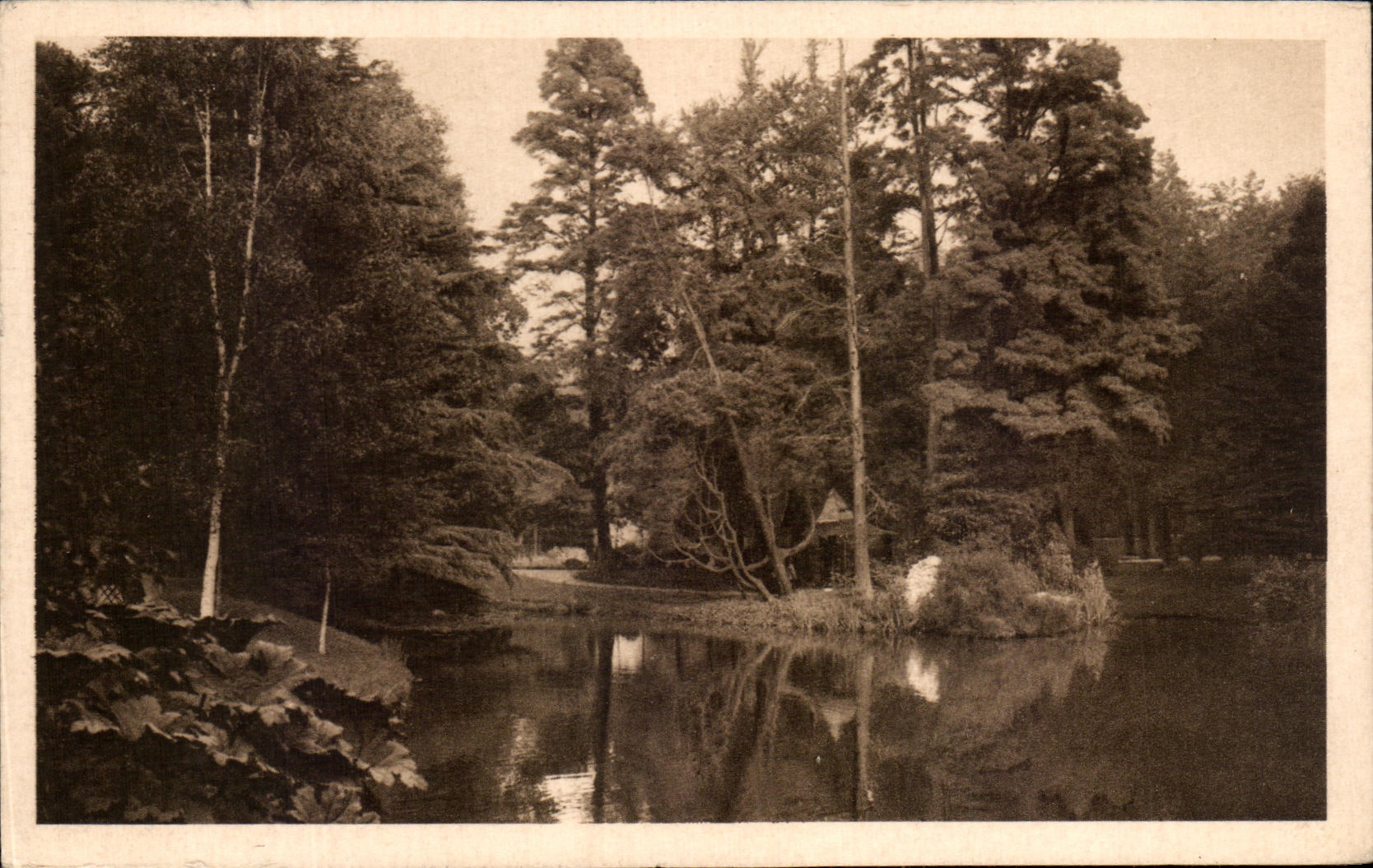 CPA Nantes the Botanical garden