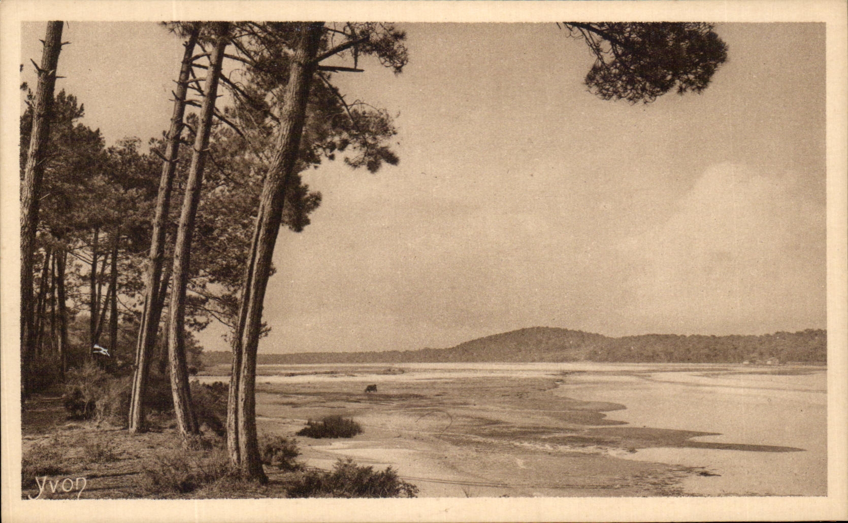 CPA the pond of Hossegor Dimensions Gascogne Money