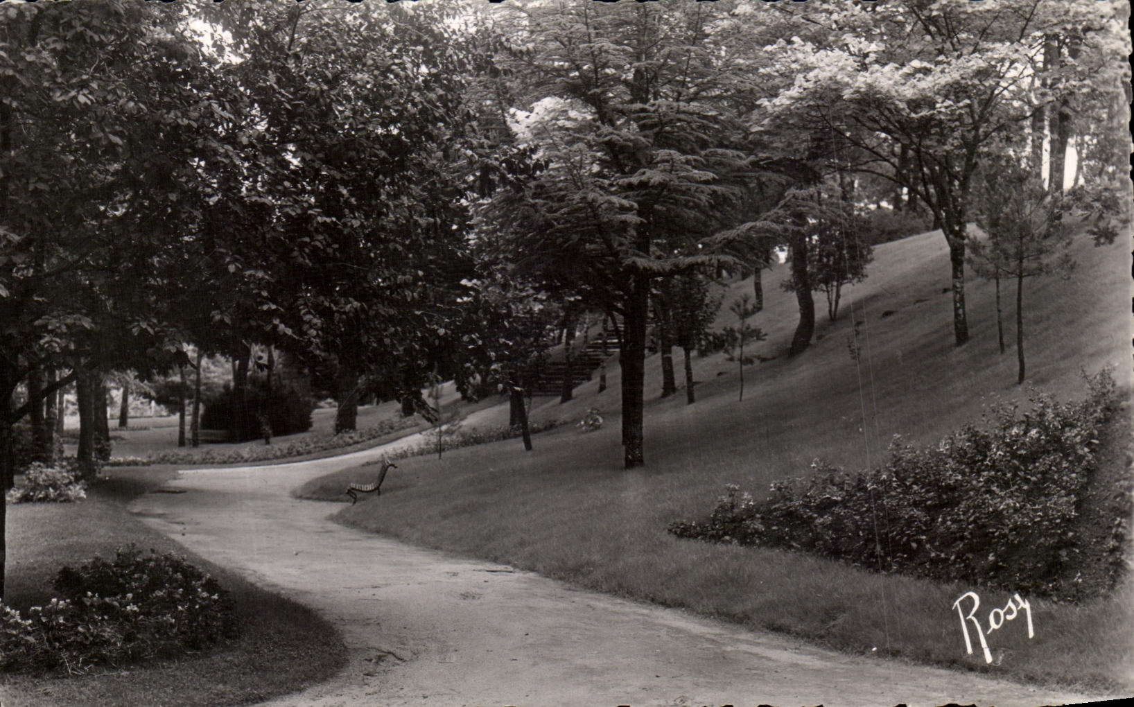 CPSM La Baule the Pines Park Of Dryades