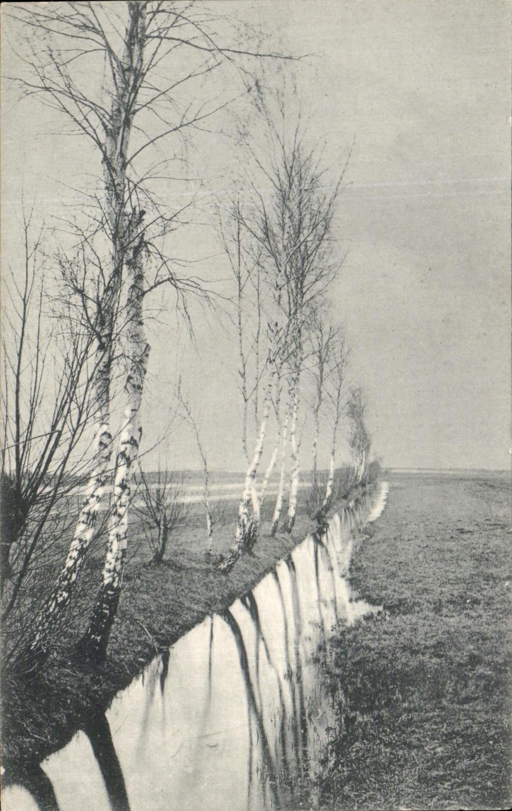 arboles del rio de CPA