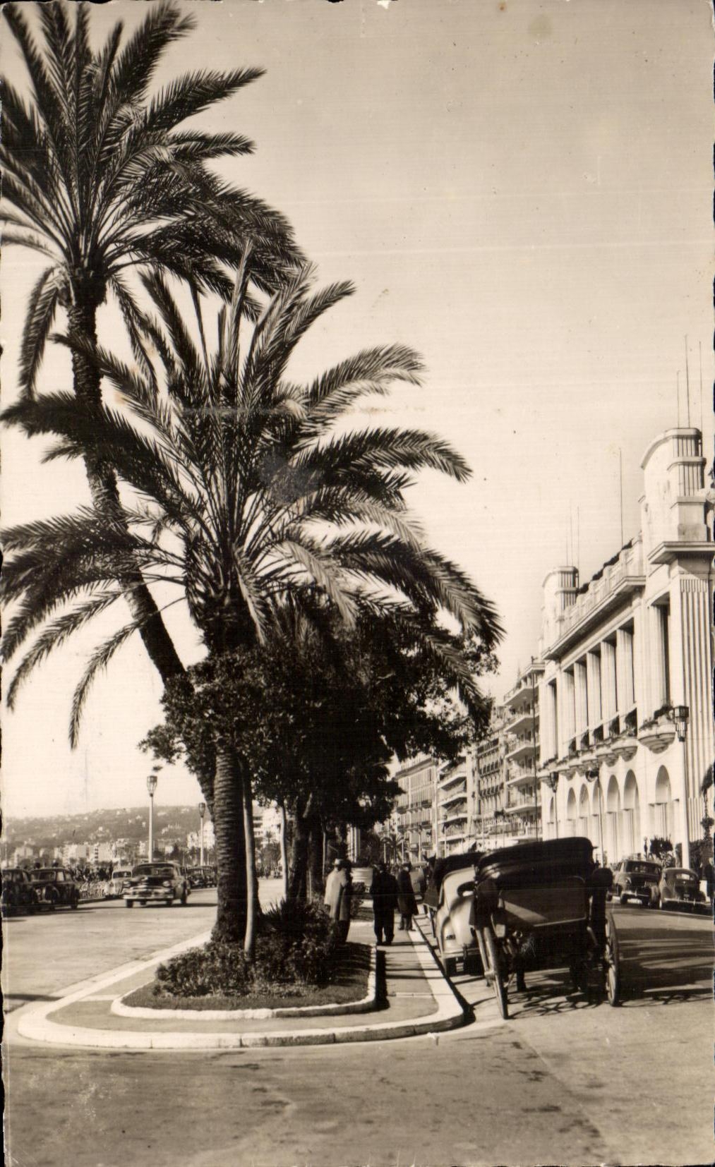 Palmeras de CPA Niza en la caminata del ingles