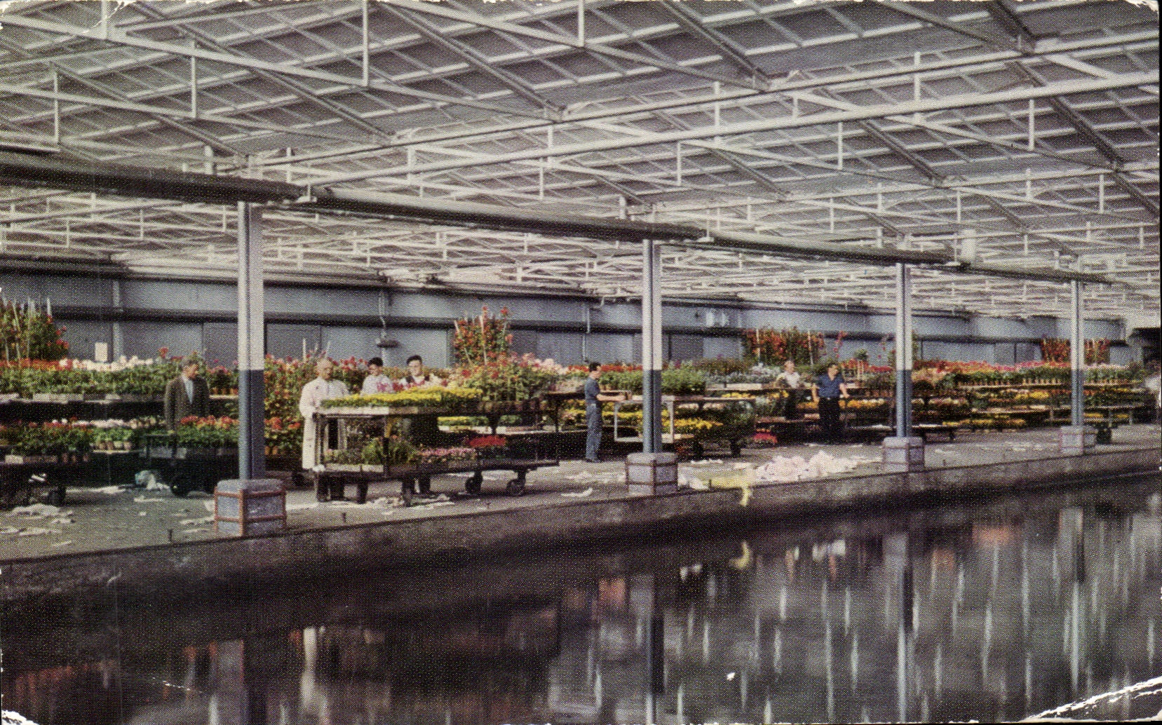 CPA central Aalsmeersch que vela Aalsmeer