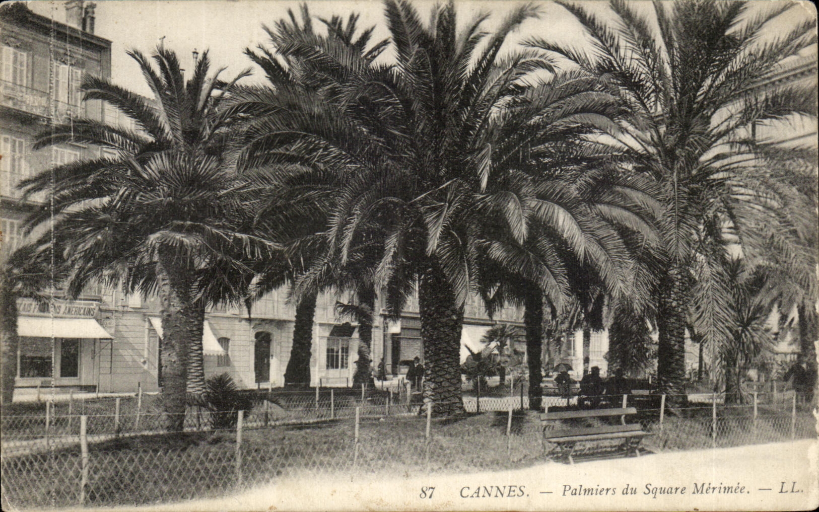 CPA Cannes Palm trees Of the Merimee Public garden
