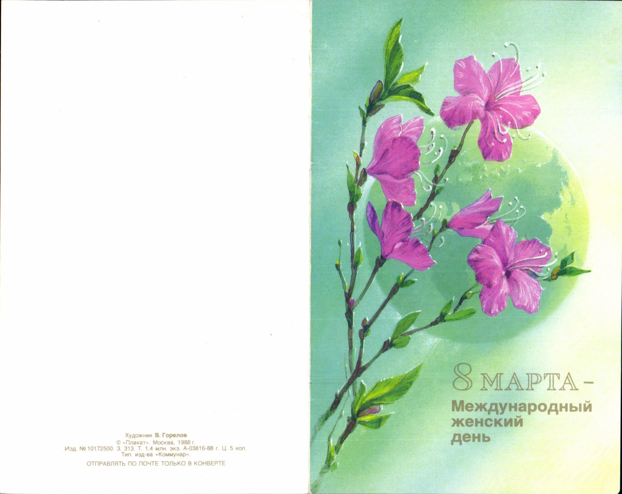 Flores MODERNAS de la TARJETA