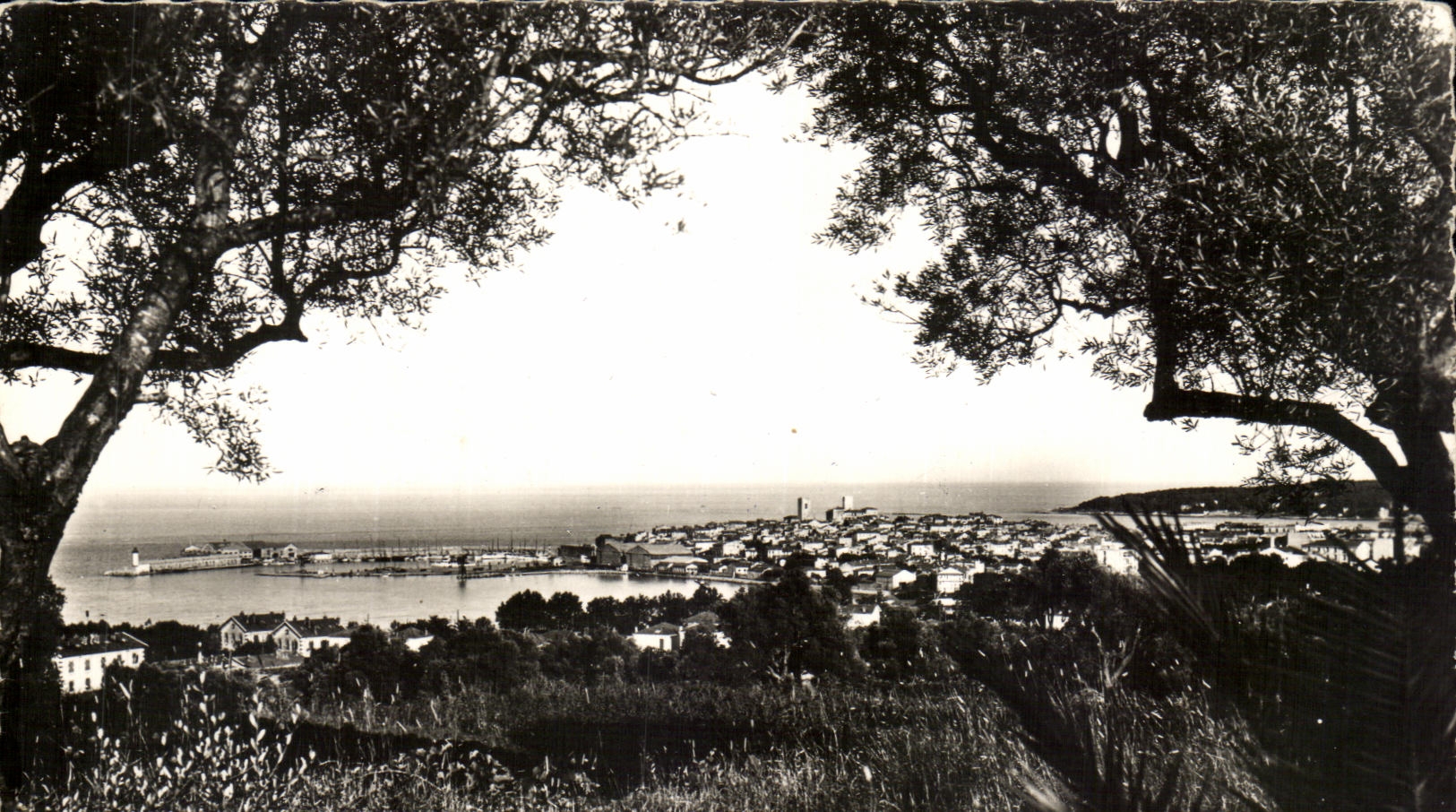 CPA ISCED de la opinion del azul de Antibes