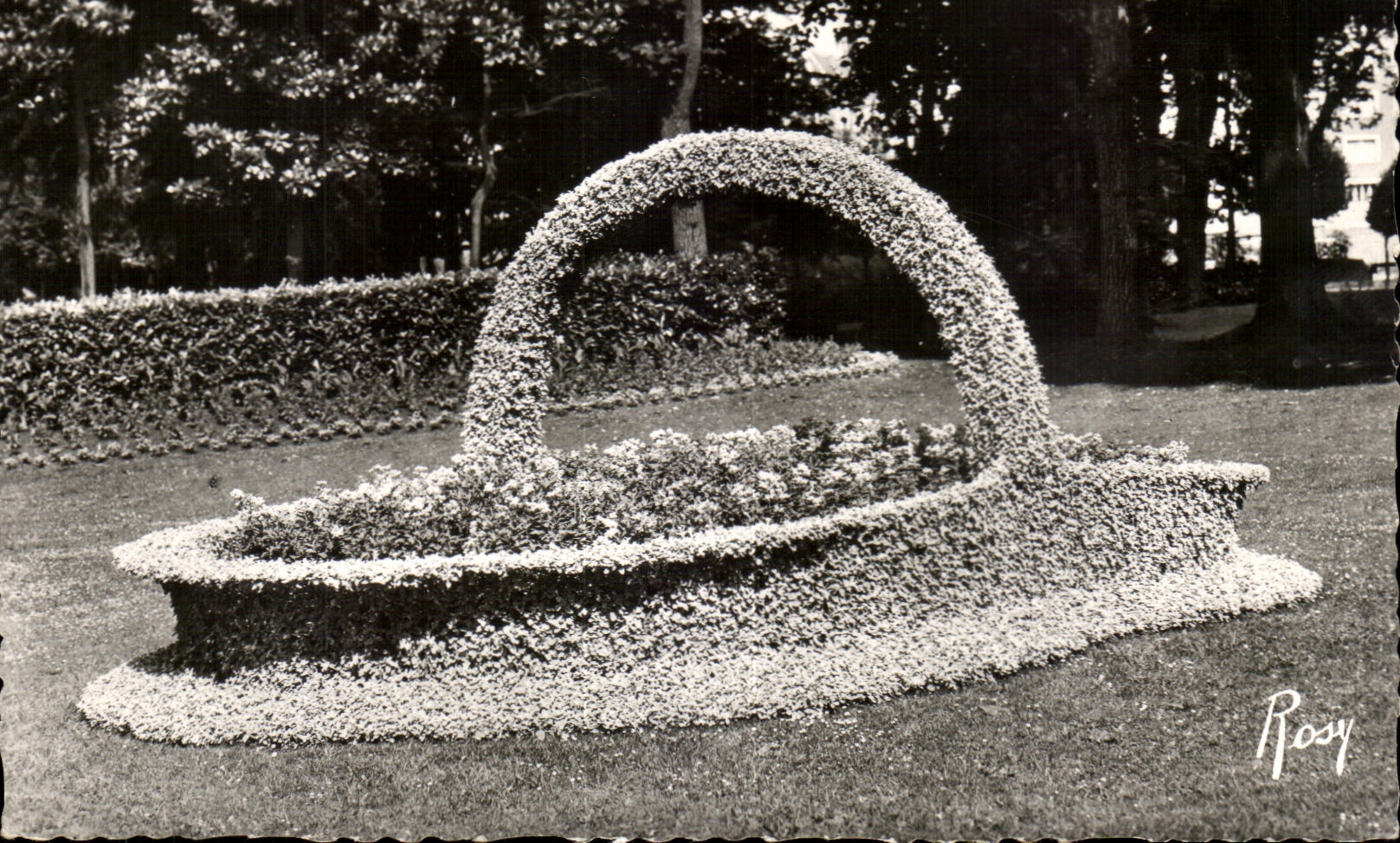 CPSM Mantes the Basket of the Botanical garden