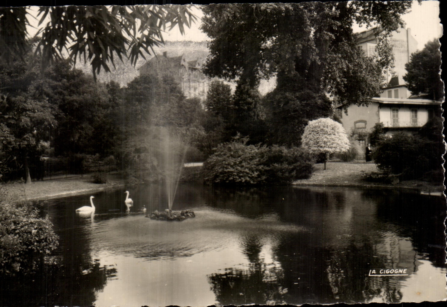 CPA Vichy Queen Of the Towns Of Water Basin Of the Swans In the large parks