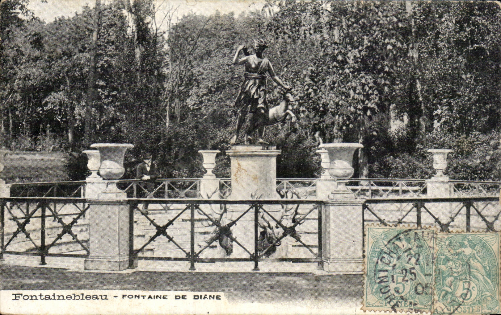 CPA Fontainebleau Fontaine De Diane