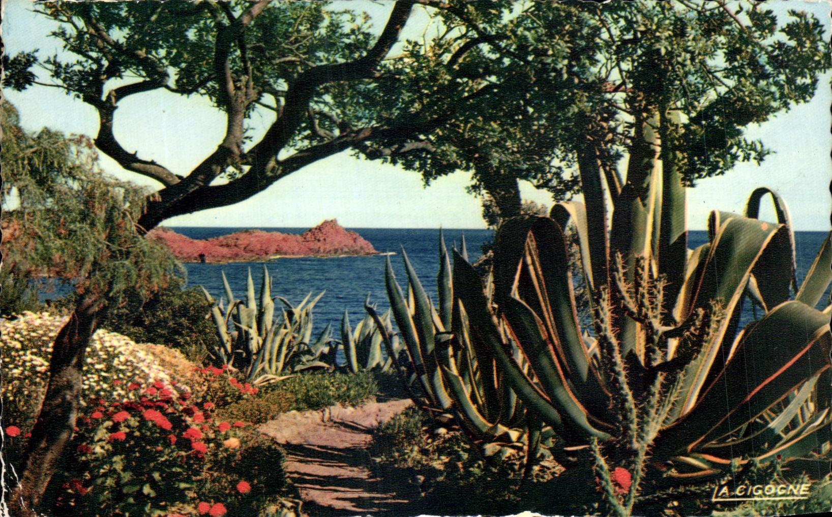 CPA Reflets De La Cote d'Azur Harmanie De Couleurs Et De Lumiere