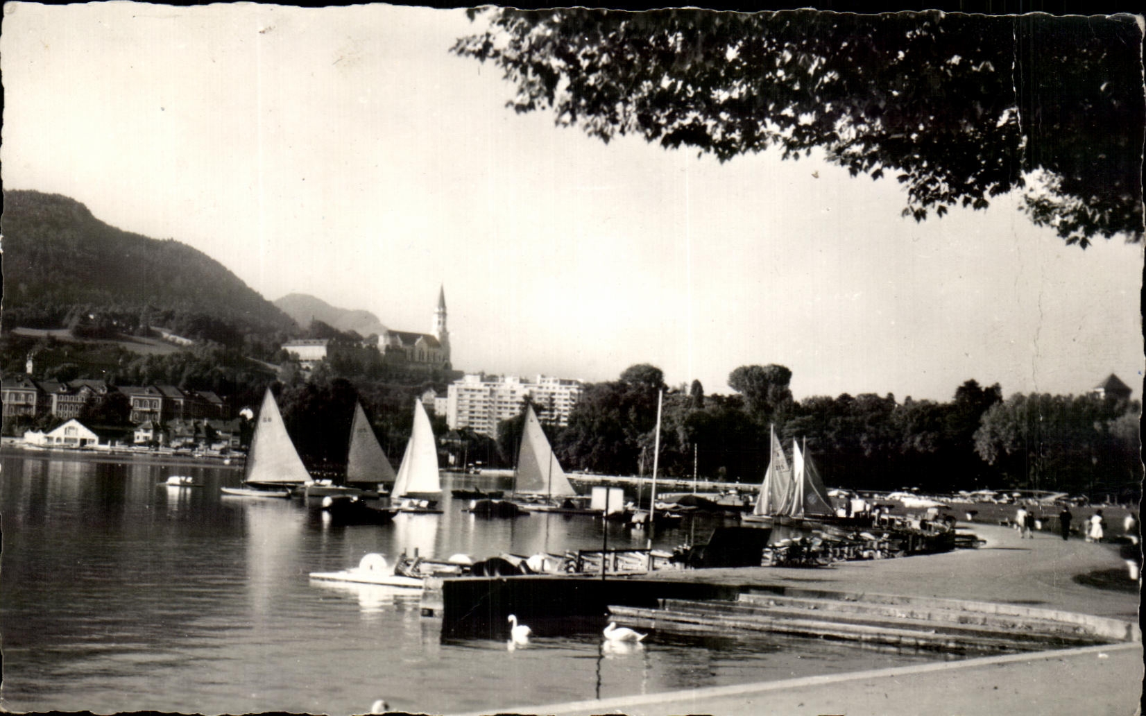 CPSM Annecy Voiliers Sur Le Lac La Visitation