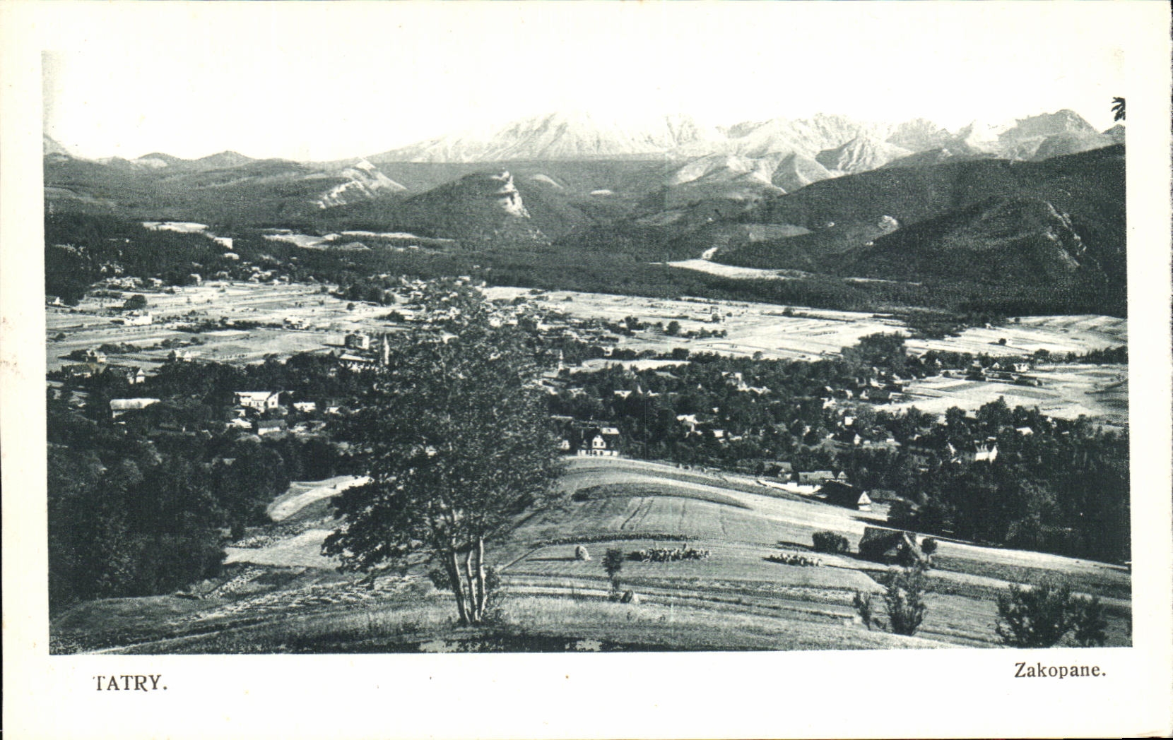 CPA Tatry Zakopane Pologne 