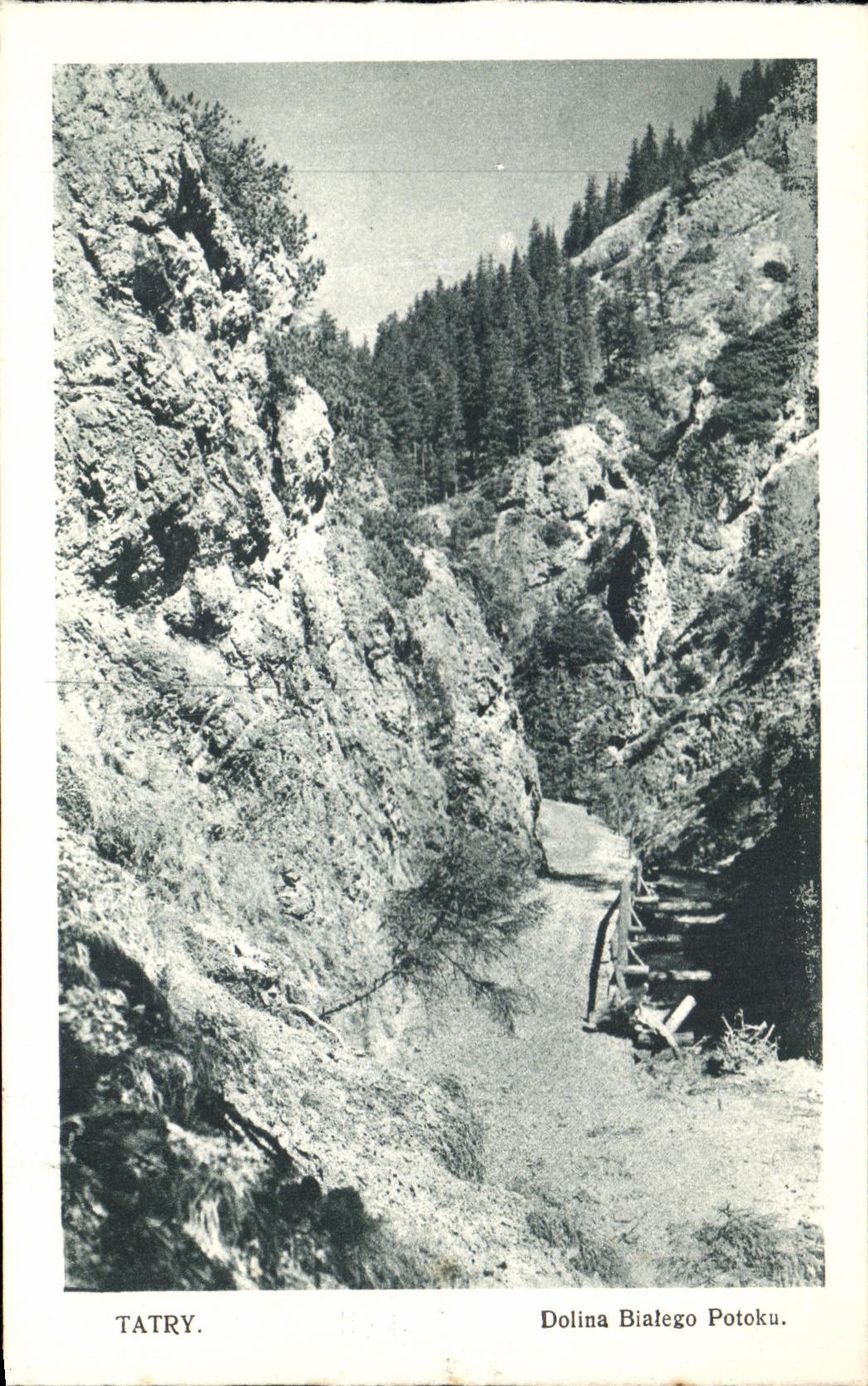 CPA Tatry Dolina Bitago Potoka Pologne 