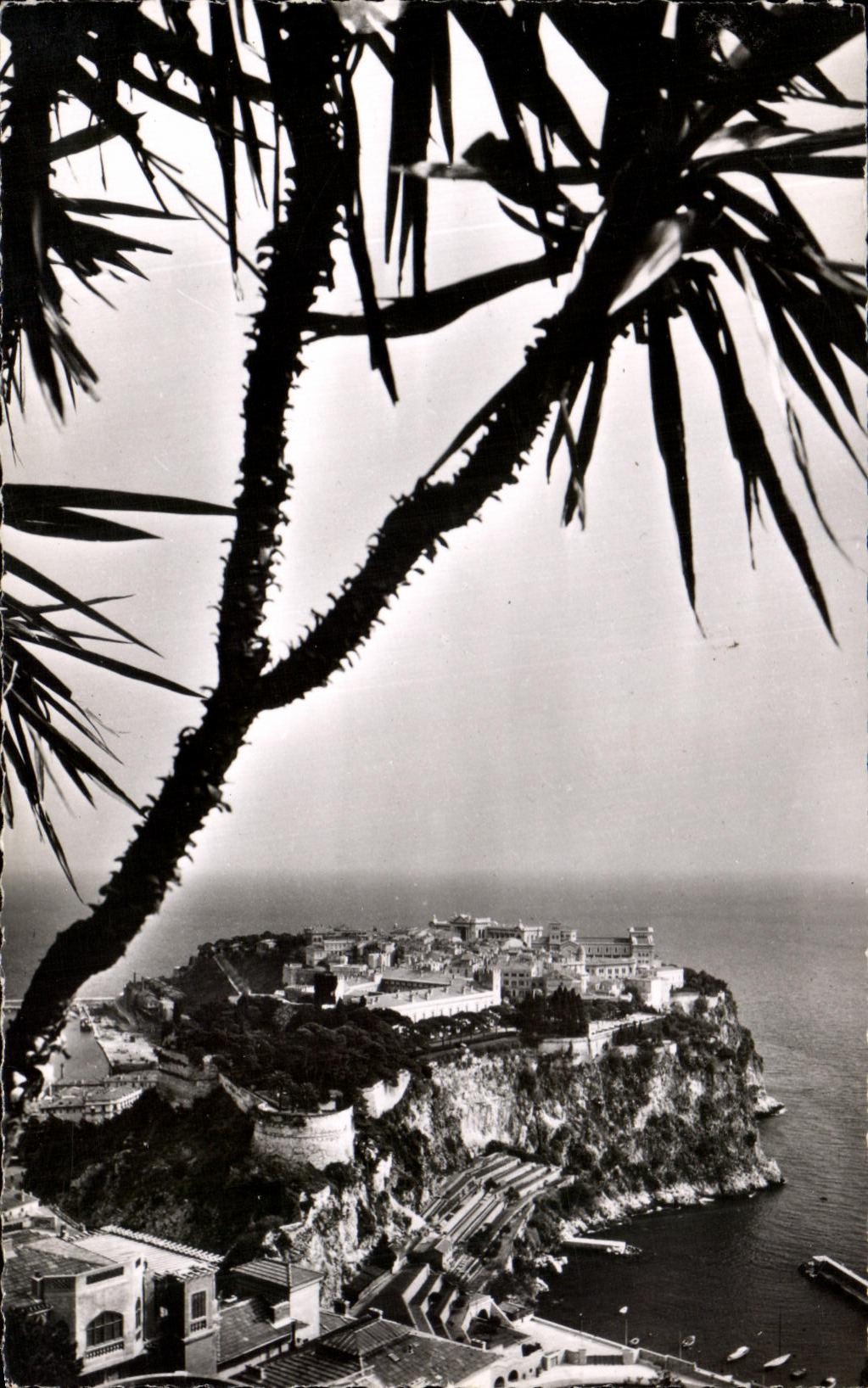 CPA Jardin Exotique de Monaco Le Rocher de Monaco avec en premier plan le Palais Princier vu du Jardin exp tique