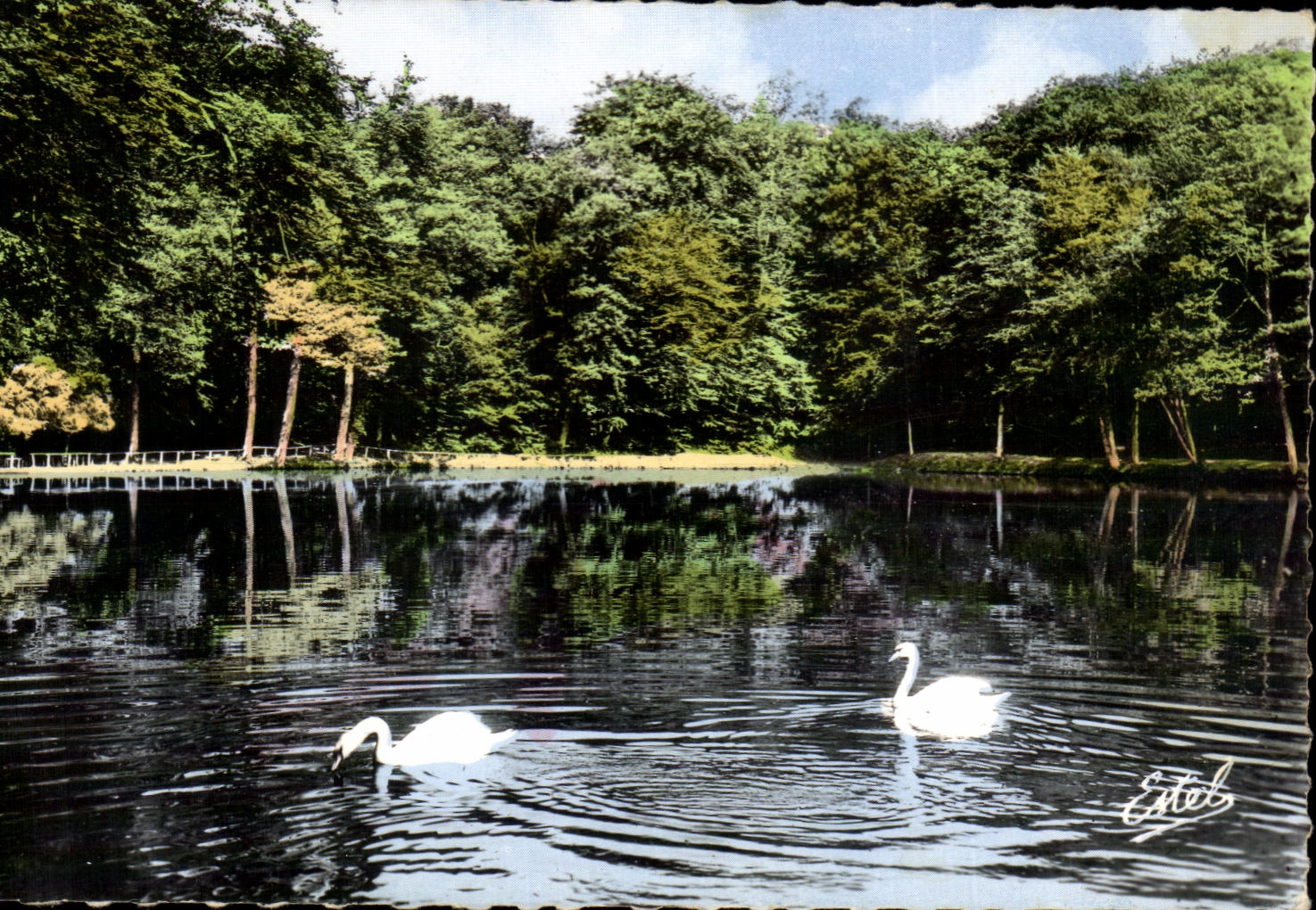 CPA Le Pin La Garenne Et Le Gue De La CHaine la foret de Belleme Cygnes